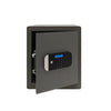 Motorised Biometric  Maximum Security  Professional Safe