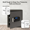 Motorised Biometric  Maximum Security  Professional Safe