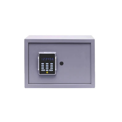 Lower Value Electronic safe